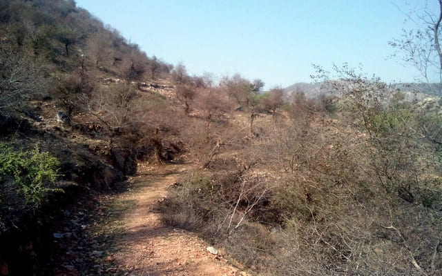 Bhuteshwar Nath Mahadev trek