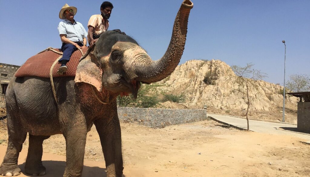 Hathi Gaon Jaipur