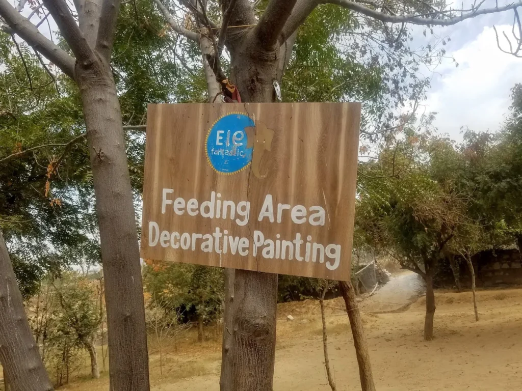 Elefantastic Jaipur