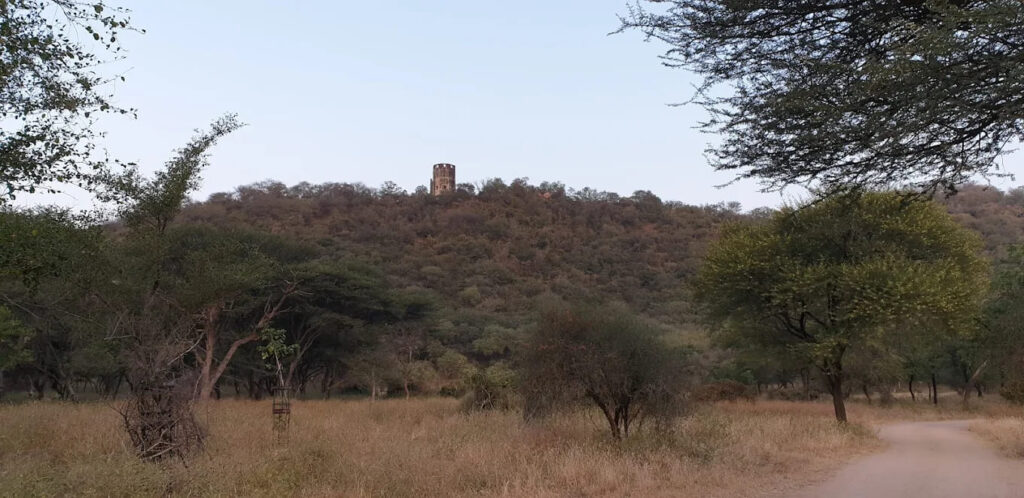Neemgatta Bird watching point Jaipur