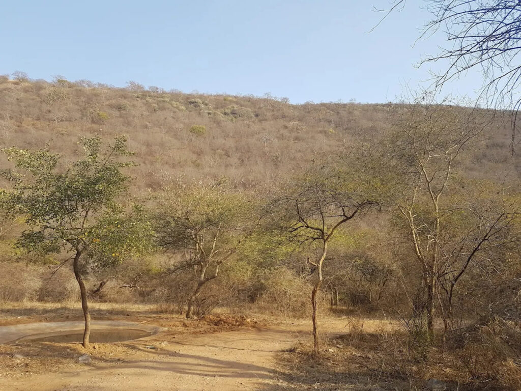 Neemgatta Bird watching point