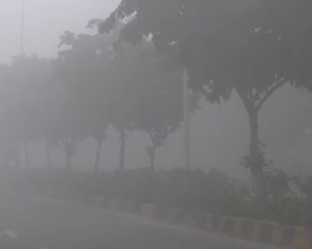 Fog in Jaipur
