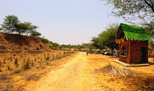 Beed Papad Leopard Safari Jaipur