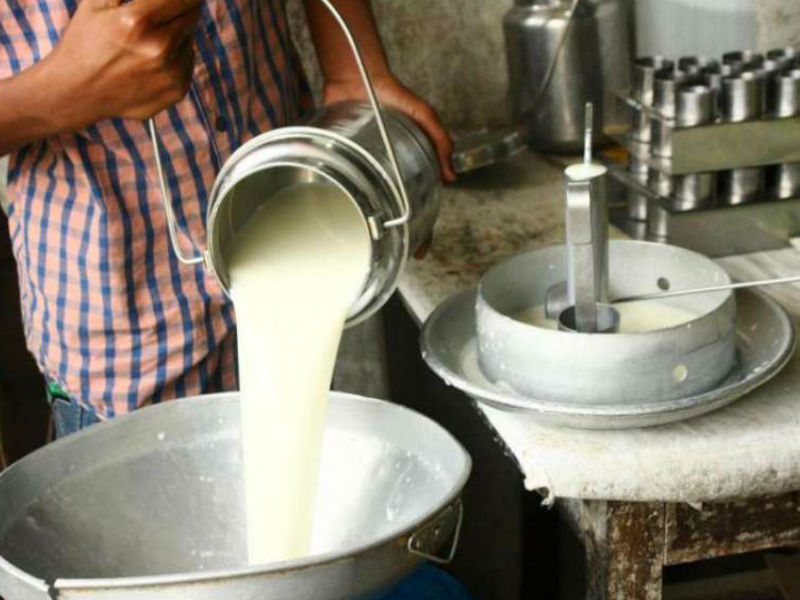 Jaipur Fake Milk Racket