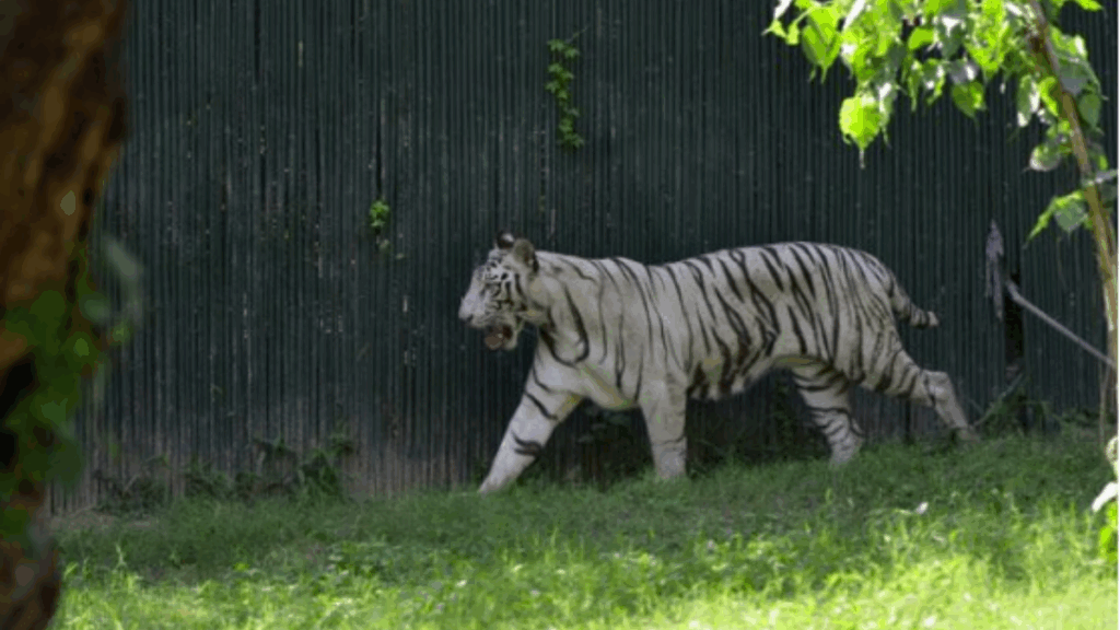 Nahargarh Biological Park Jaipur